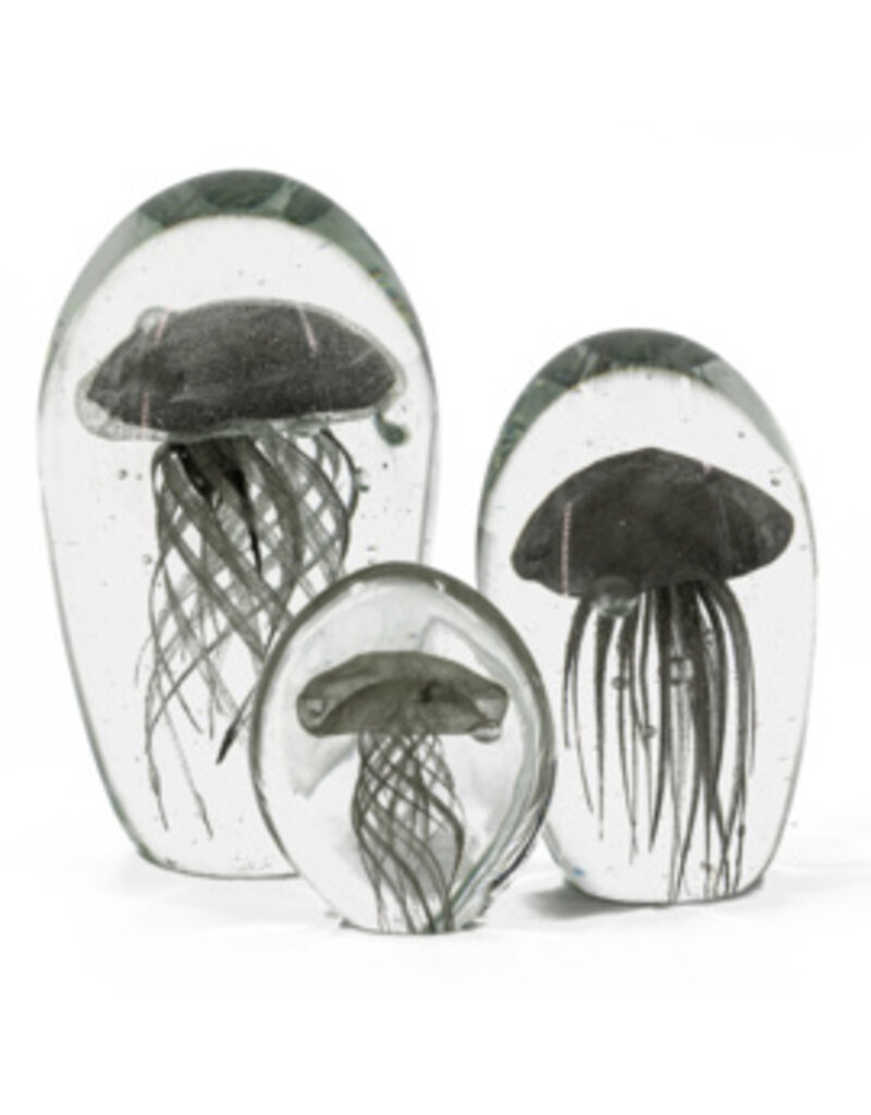 Damn jellyfish in glass XL - Copy - Copy - Copy - Copy - Copy - Copy - Copy - Copy - Copy - Copy - Copy - Copy - Copy - Copy - Copy - Copy - Copy - Copy - Copy - Copy - Copy - Copy - Copy - Copy - Copy - Copy - Copy - Copy