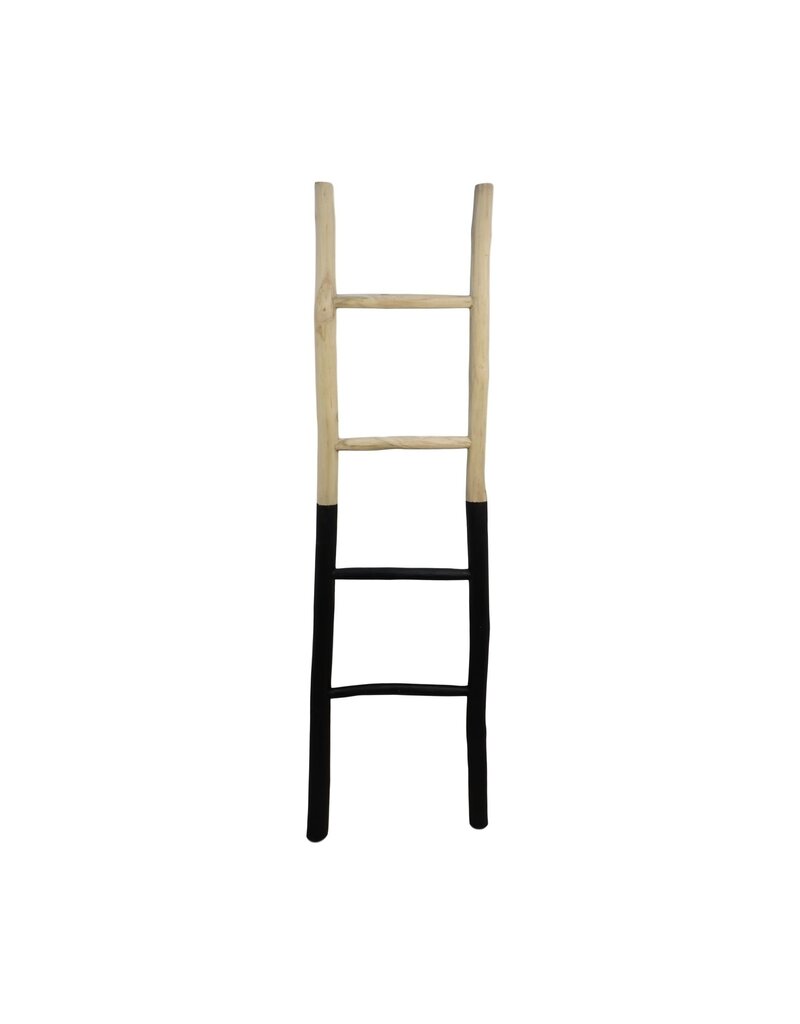 Damn Wooden ladder - Copy - Copy - Copy - Copy