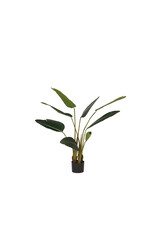 LABEL51 LABEL51 Strelitzia - Groen - Kunststof - 100 cm