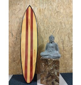 Damn Surfboard 1.50 meter model 1
