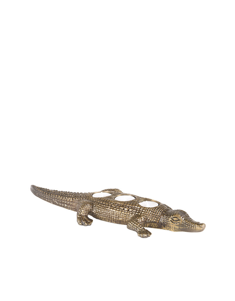LABEL51 LABEL51 Krokodil - Antiek goud - Metaal