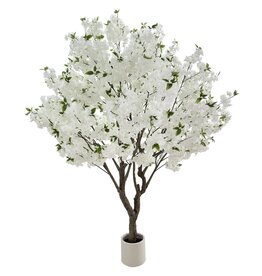 Damn Plant - Copy - Copy - Copy - Copy - Copy - Copy - Copy - Copy