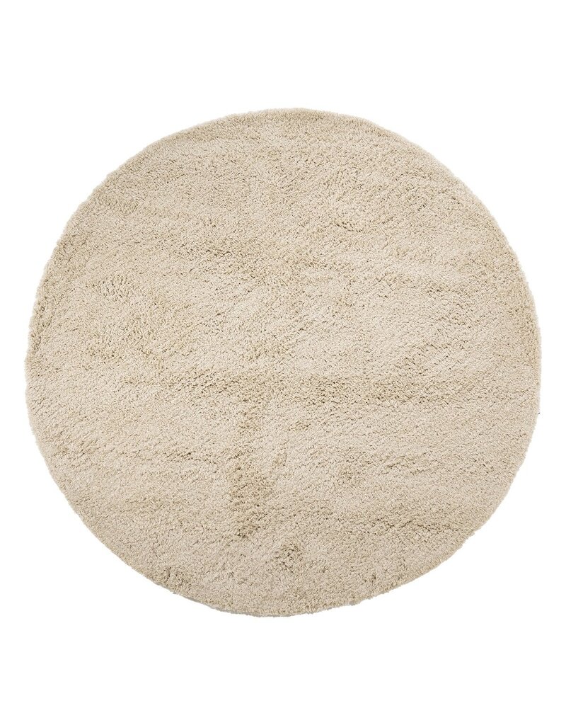 Damn CArpet  - Copy
