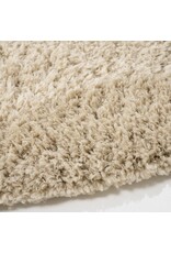 Damn CArpet  - Copy