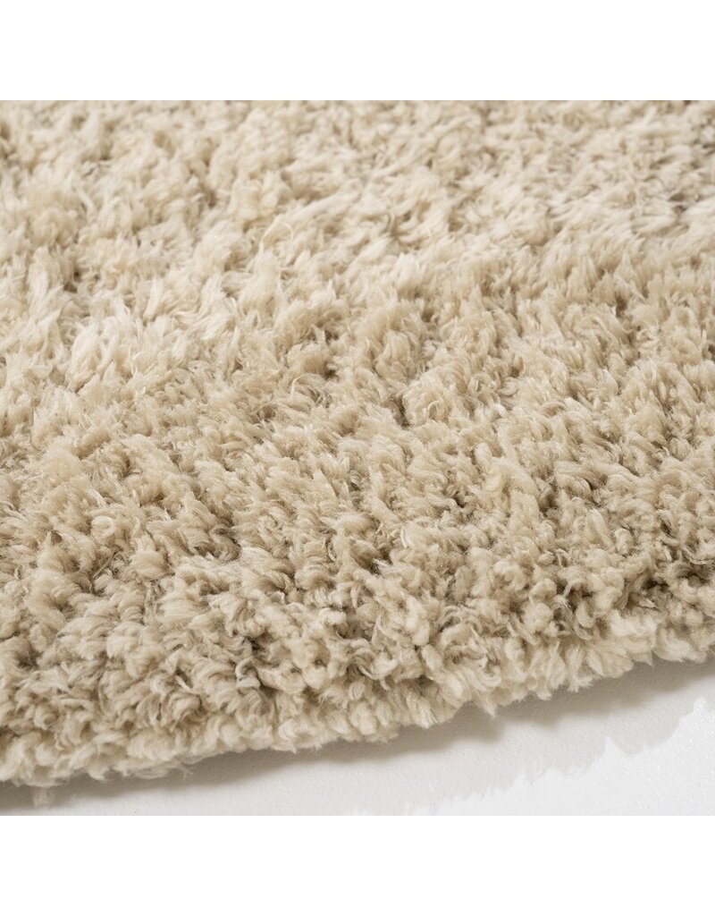 Damn CArpet  - Copy