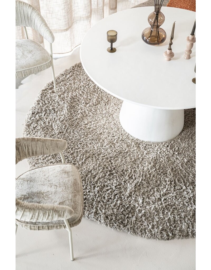 Damn Carpet