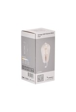 LABEL51 LABEL51 Lichtbron Led Kooldraadlamp Peer - Glas