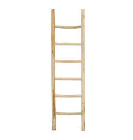 Ladder Rond Barney
