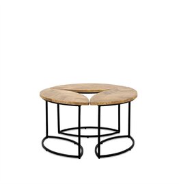 Damn Salontafel Leaves