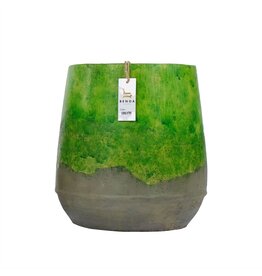 Damn Vaas Groen Groot