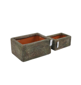 Damn Vazen Rechthoekig Set van 2