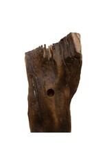 Damn Wine Tree