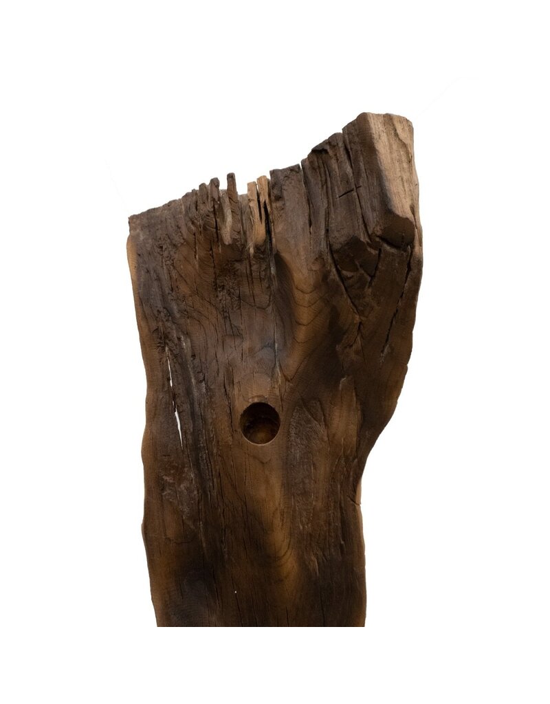Damn Wine Tree