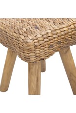 Damn Krukje waterhyacint