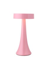 Damn Bureaulamp