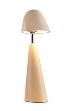 Damn Desk lamp