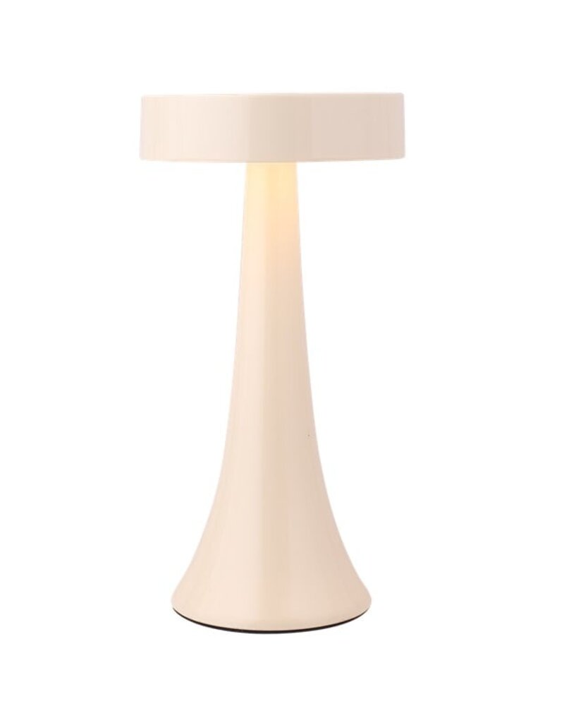 Damn Desk lamp