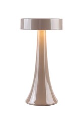 Damn Bureaulamp