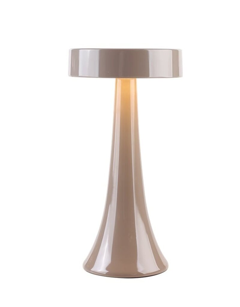 Damn Desk lamp