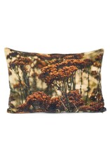 Damn Cushion with filling