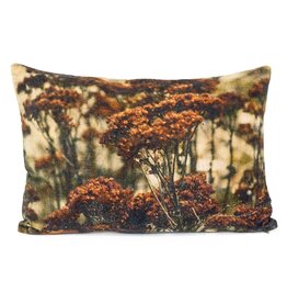 Damn Cushion with filling