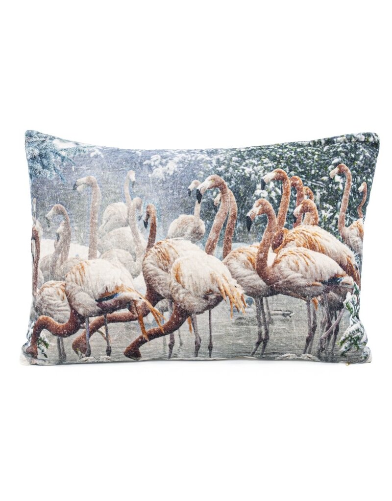 Damn Kussen met vulling