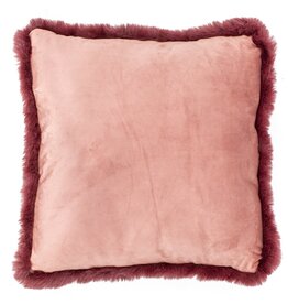 Damn Kussen met vulling