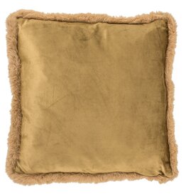 Damn Kussen met vulling