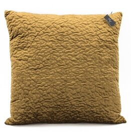 Damn Cushion with filling