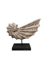 Ornament witte schelp