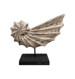 Ornament witte schelp