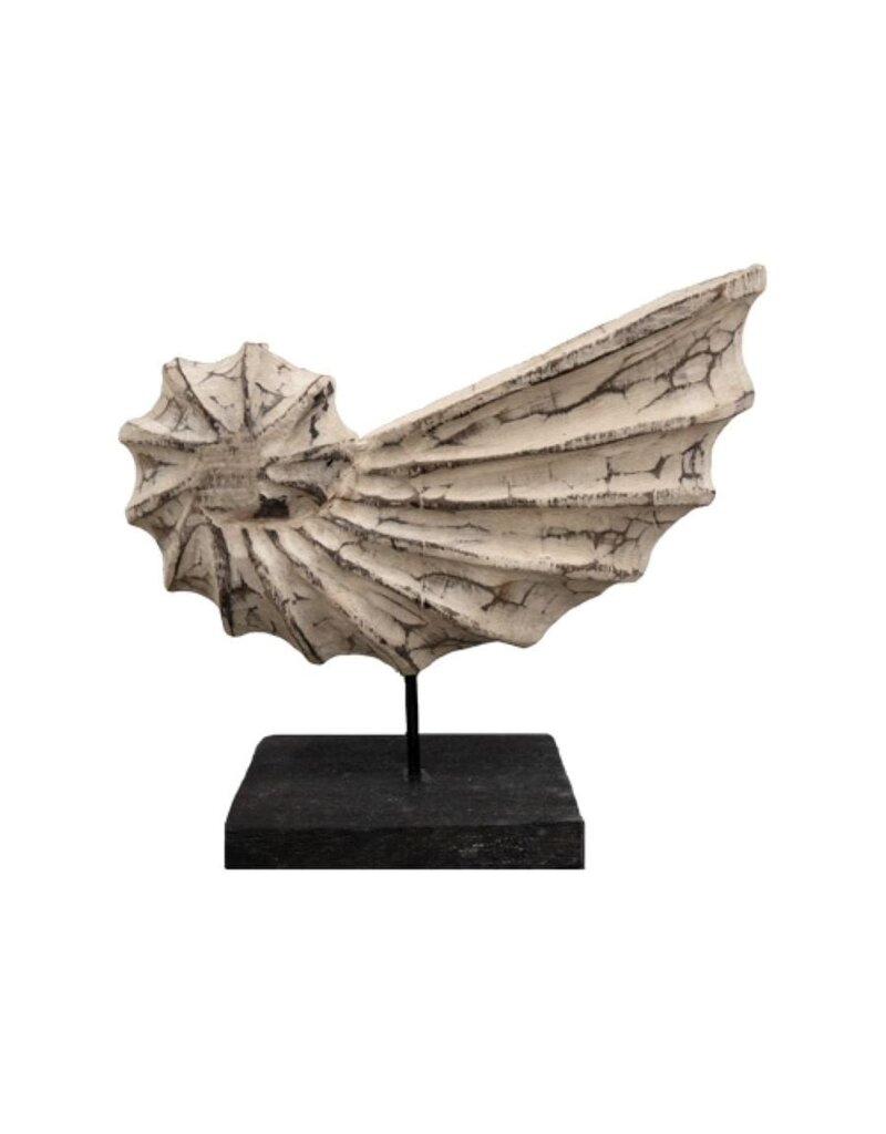 Ornament witte schelp