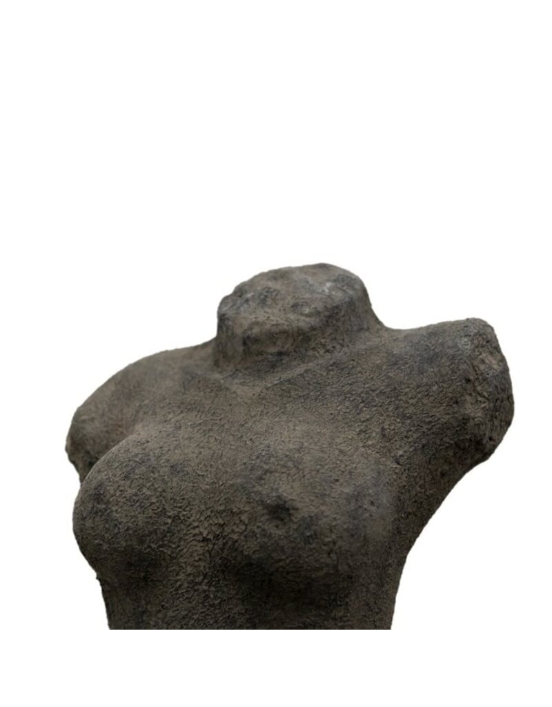 Torso Vrouw S