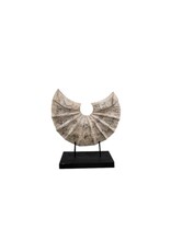 Ornament halve schelp