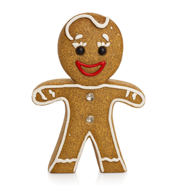 Damn Santa Claus snow globe - Copy - Copy - Copy - Copy - Copy - Copy - Copy