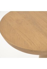 Damn mangohout - Copy