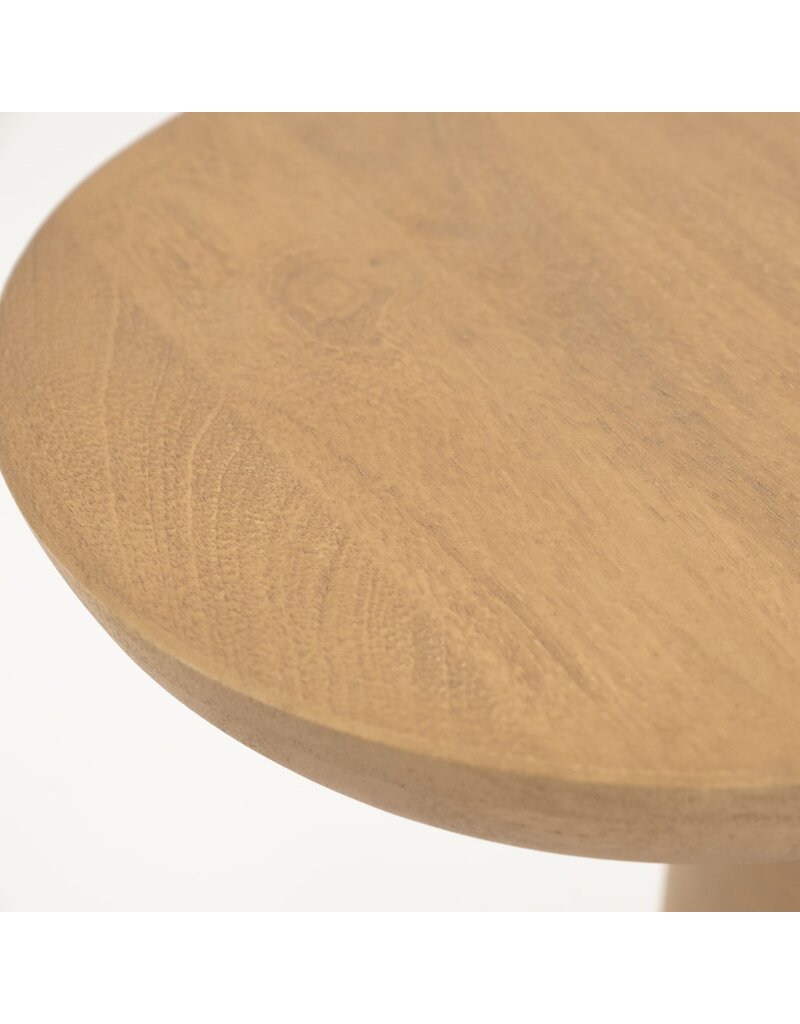 Damn mangohout - Copy