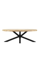 Damn Coffee table Ellips with Spiderleg 130