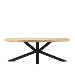 Damn Salontafel Ellips met Spiderleg 130