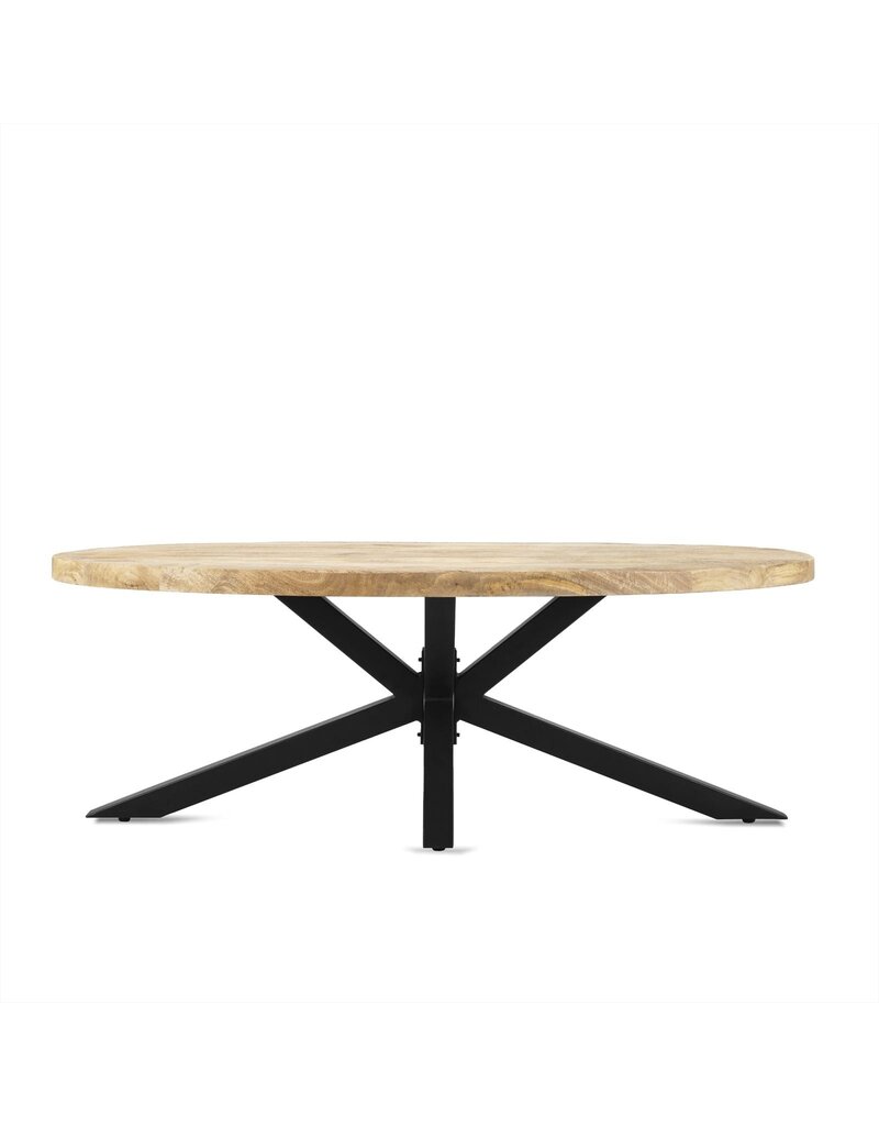 Damn Coffee table Ellips with Spiderleg 130