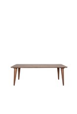 Damn LABEL51 Eetkamertafel Fly - Nature Smooth - Mangohout - 160 cm