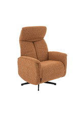 Damn LABEL51 Fauteuil Aarhus - Coral - Royal Boucle - 2-Motorig