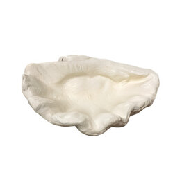 Damn Bowl shell big 30x25H15cm (80713)