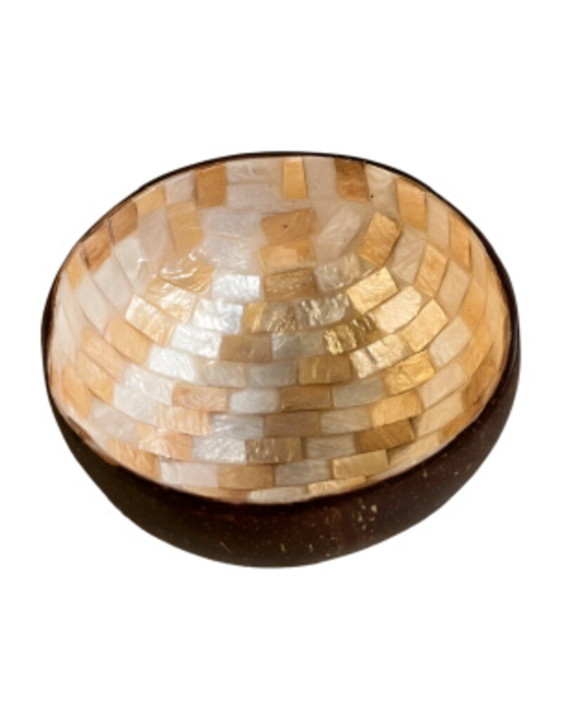 Damn Bowl Kapis  (80869)