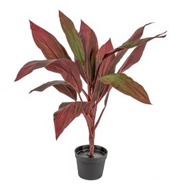 Kunstplant rode cycas 70cm