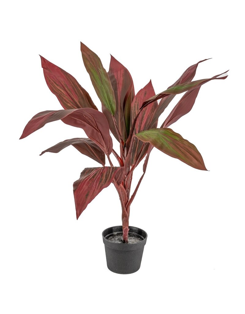 Kunstplant rode cycas 70cm
