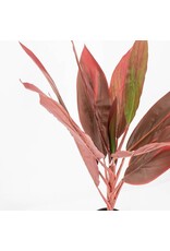 Kunstplant rode cycas 70cm