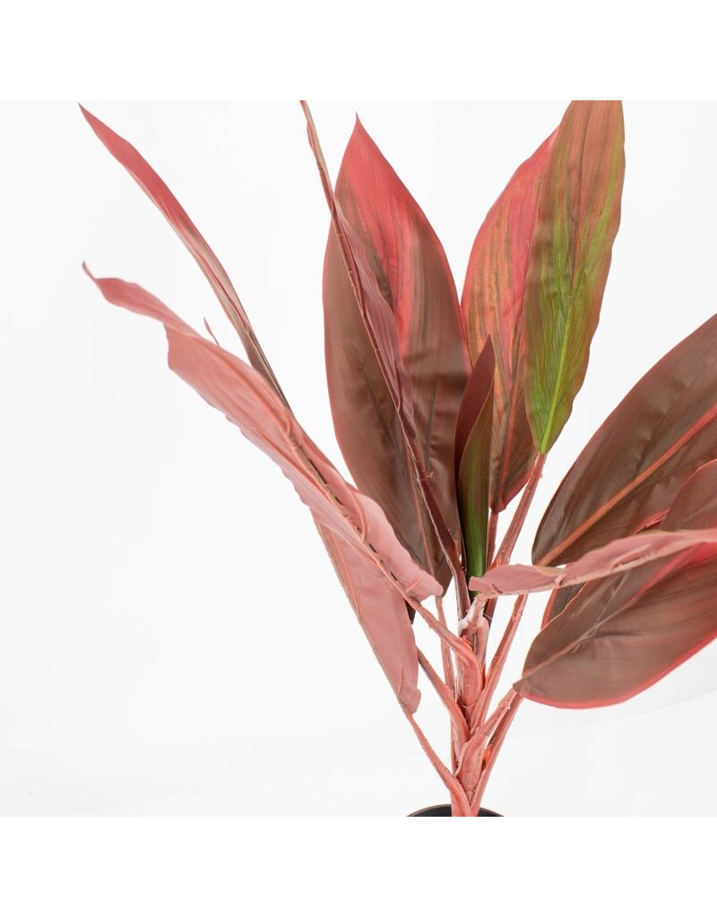 Kunstplant rode cycas 70cm