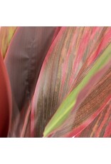 Kunstplant rode cycas 120cm