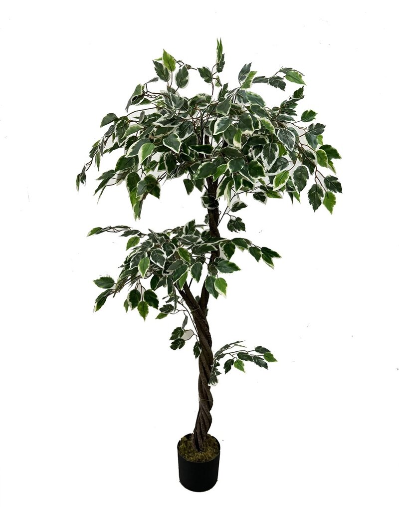 Kunstplant ficus 150cm